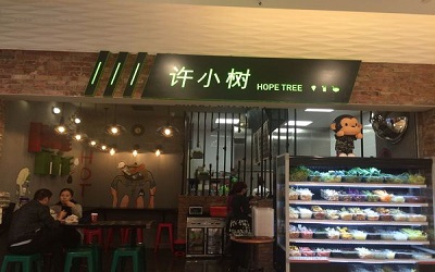 开一家许小树麻辣烫赚钱