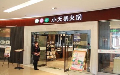 开一家小天鹅火锅一年赚多少钱？大概在200-300万元之间！