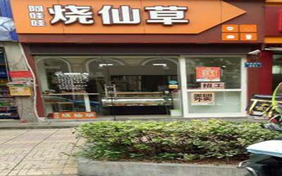 加盟一家烧仙草店也可月入过万?开家阿哇哇烧仙草利润是多少?