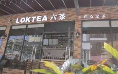 loktea六茶盈利怎么样?赚钱