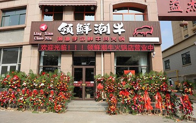 领鲜潮牛火锅加盟费是多少，为什么会如此受欢迎