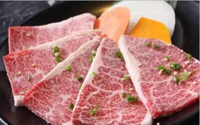 极炙烤肉可以加盟吗