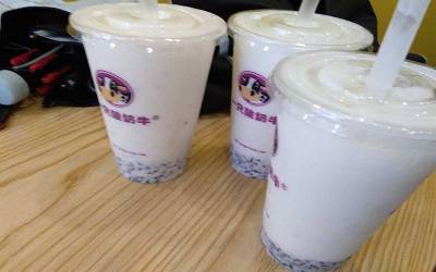 一只酸奶牛加盟