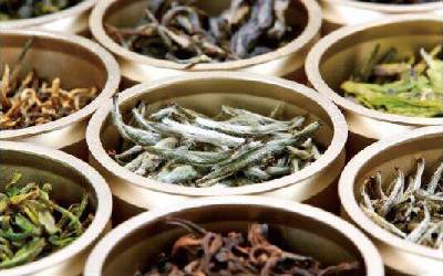 小罐茶加盟