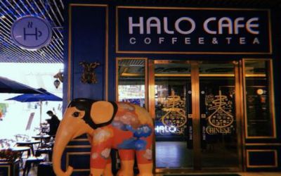 HALOCAFE加盟费多少-如何加盟-halo cafe饮品加盟靠谱吗
