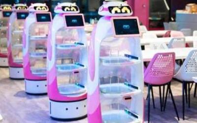 碧桂园机器人餐厅加盟靠谱吗_加盟费多少_怎么加盟-碧桂园机器人餐厅加盟